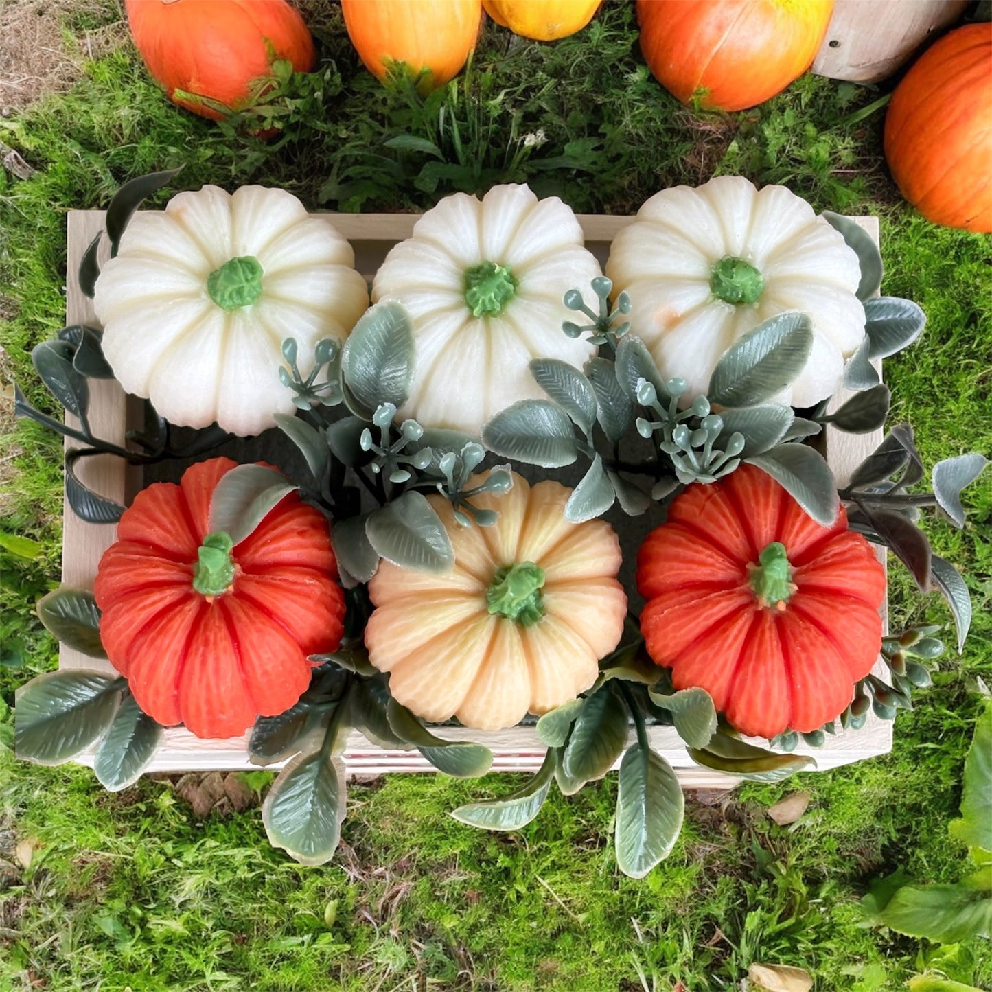 Pumpkin Patch Wax Melt Set – 6 Pumpkin-Shaped Scented Melts in Wooden Wagon
