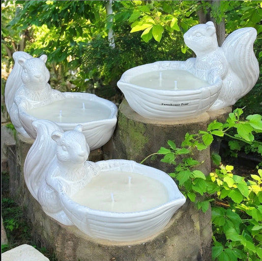 Squirrel Ceramic Jar Soy Candle